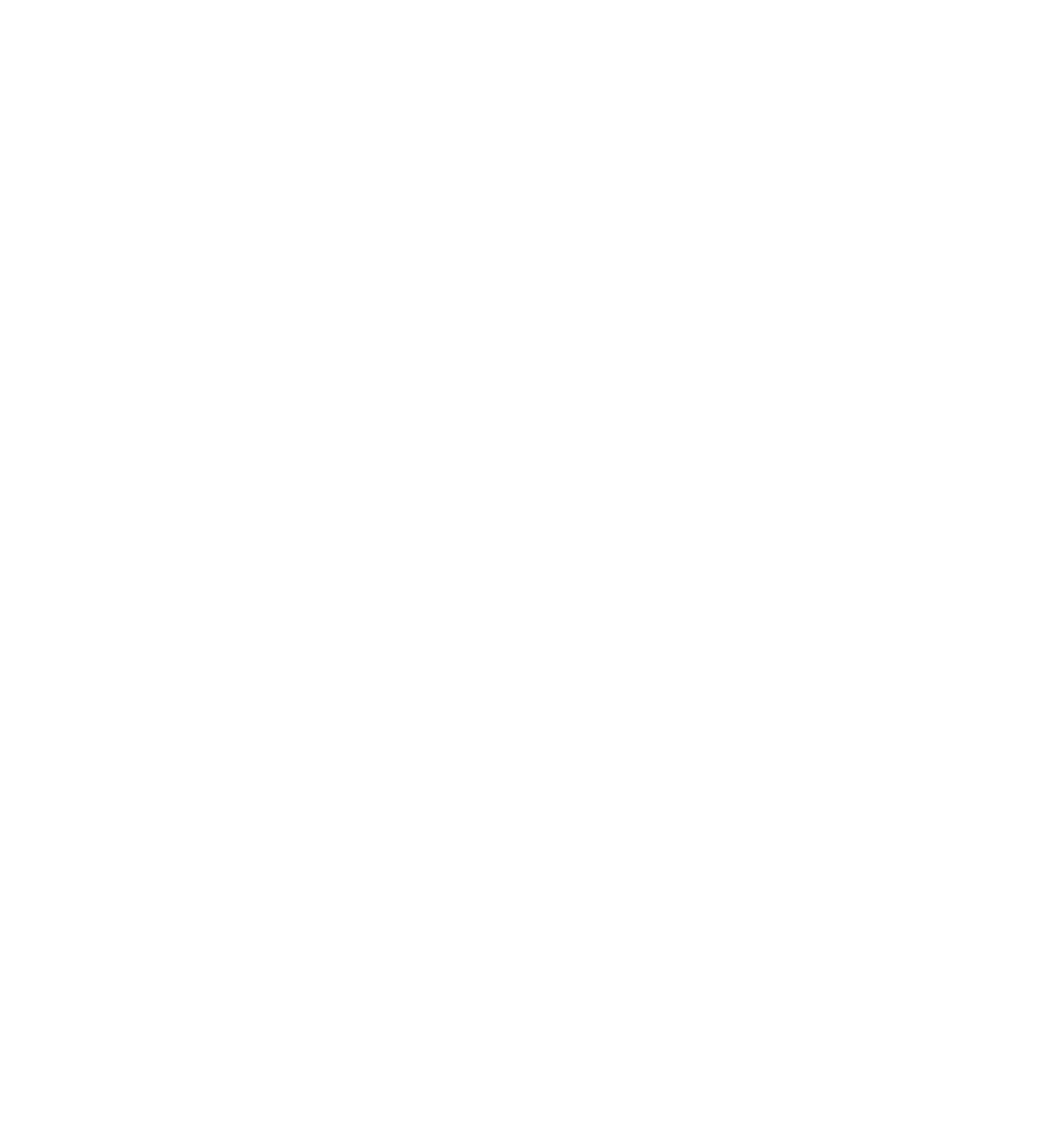 Logo Annecy Roller 
